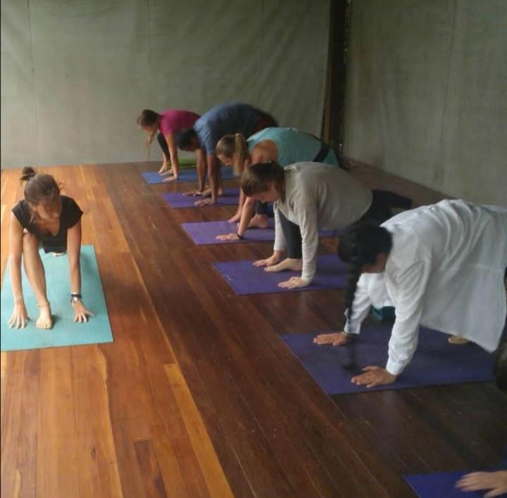 Trindade Sea And Forest Yoga Hostel Dış mekan fotoğraf