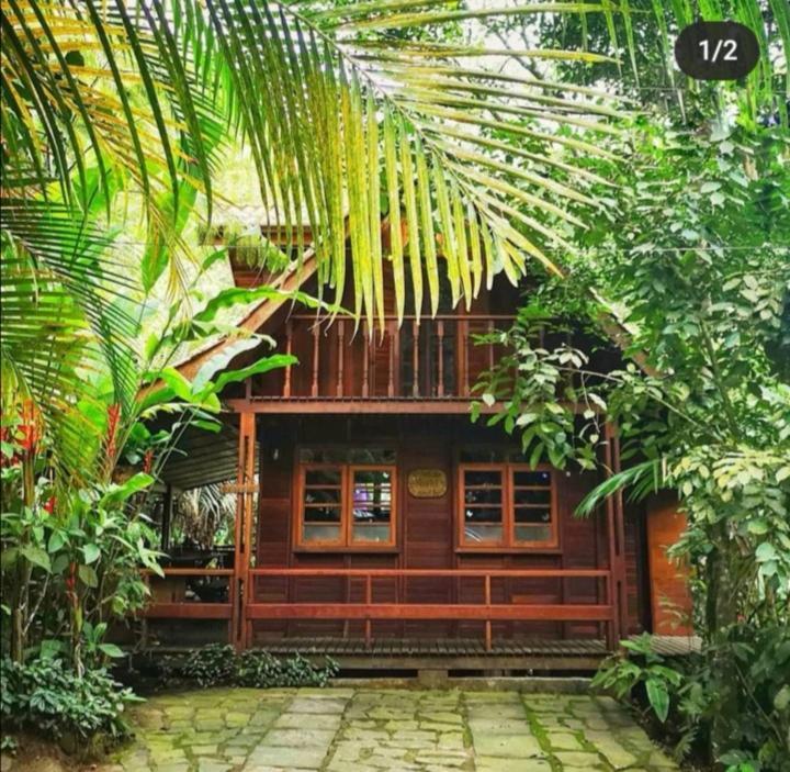 Trindade Sea And Forest Yoga Hostel Dış mekan fotoğraf