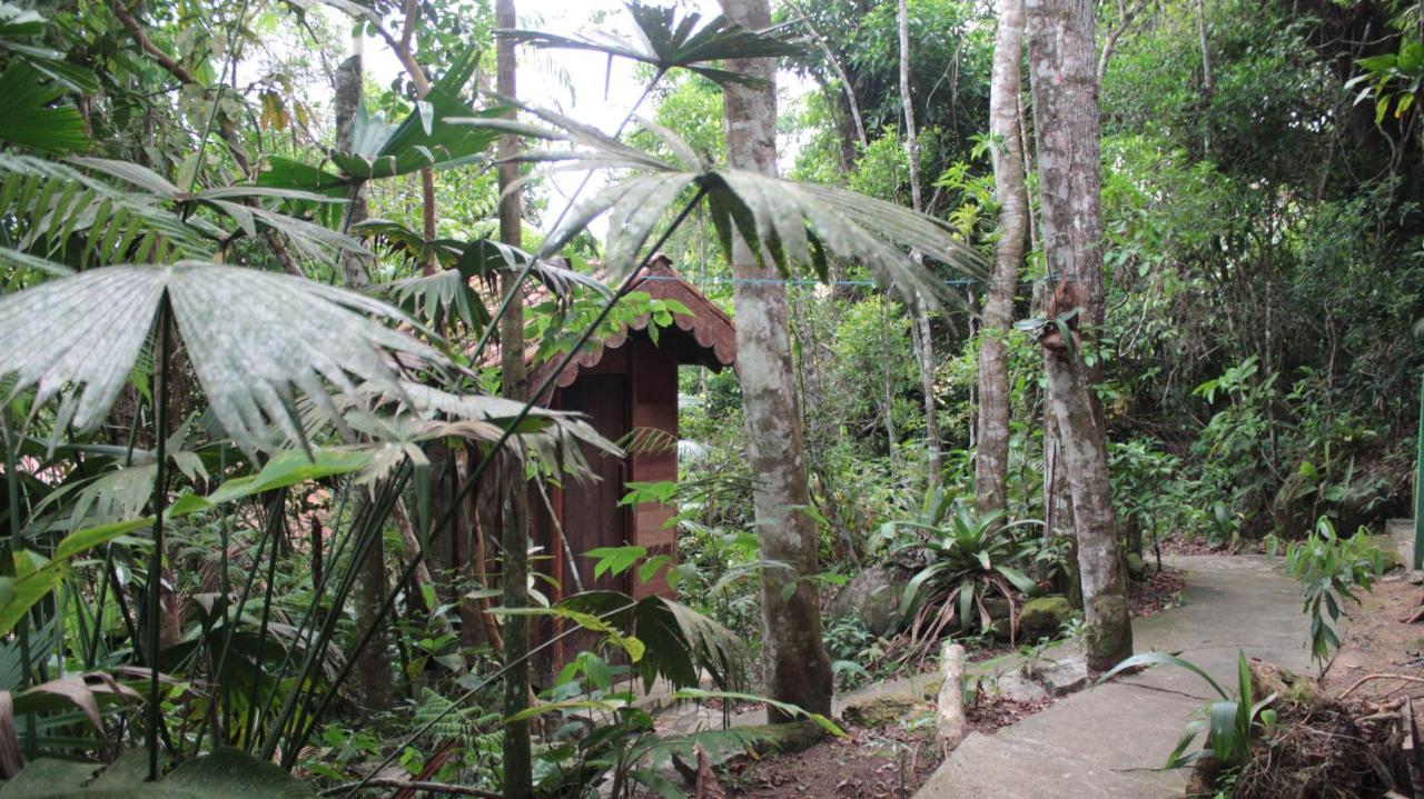 Trindade Sea And Forest Yoga Hostel Dış mekan fotoğraf